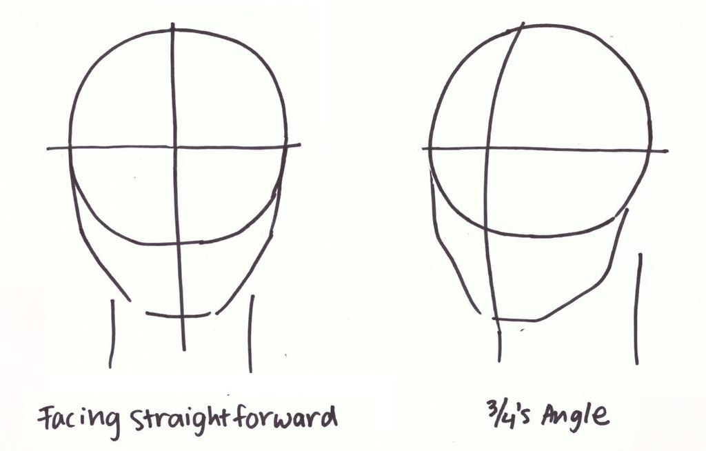 Face Perspective Chart