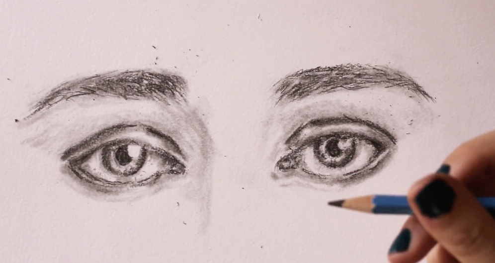 Creating form around the eyes (c).