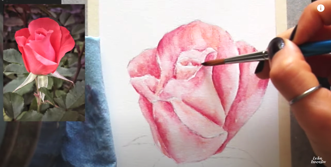 Watercolor Pencil Realistic Rose Tutorial 2