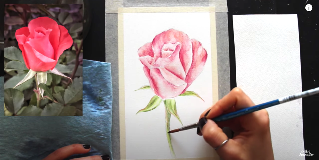 Watercolor Pencil Tutorial Realistic Rose - Erika Lancaster- Artist +  Online Art Teacher