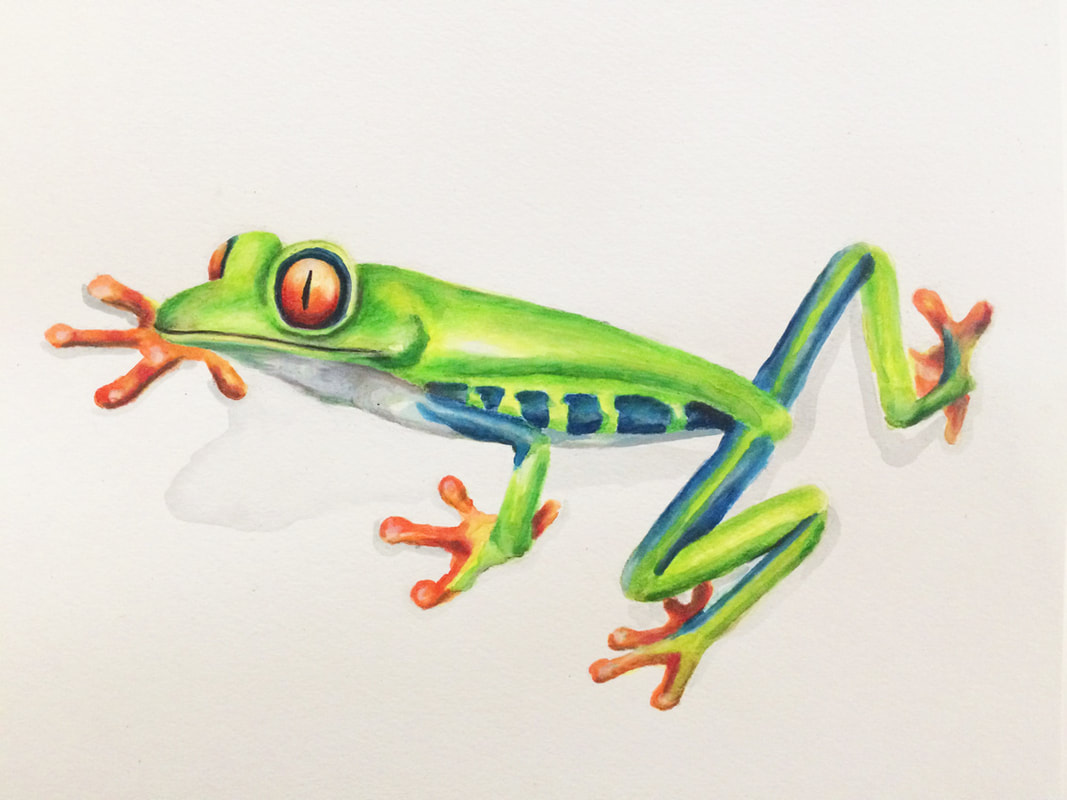 Mixed- Media Red Eyed Frog by Erika Lancaster