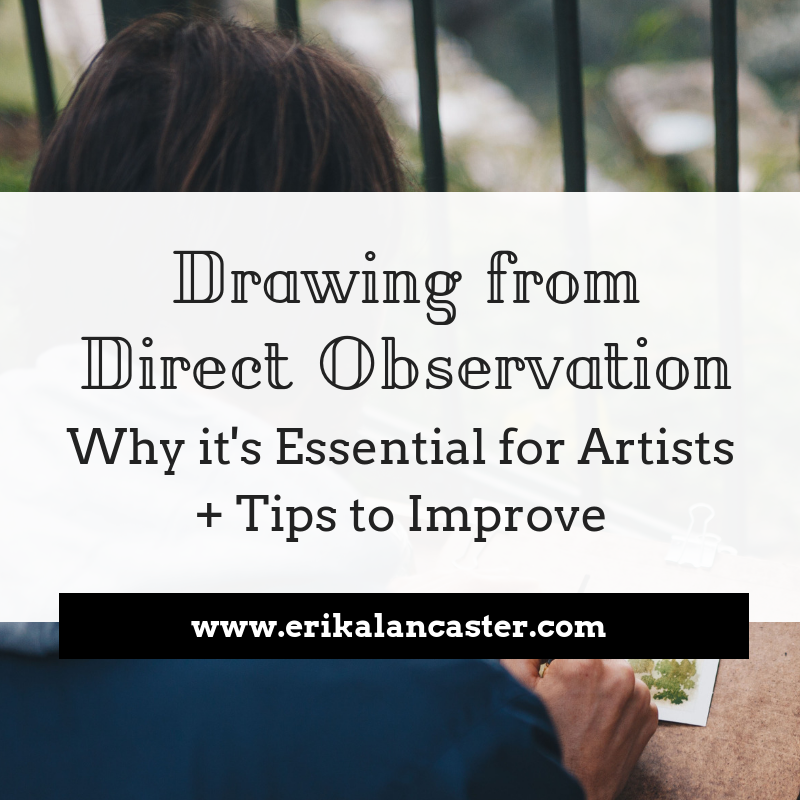 How to Draw from Direct Observation and Why It's Important Tips for Beginners