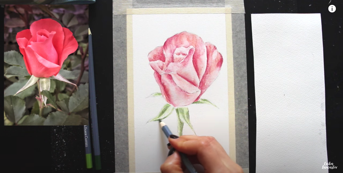 Watercolor Pencil Realistic Rose Tutorial 3