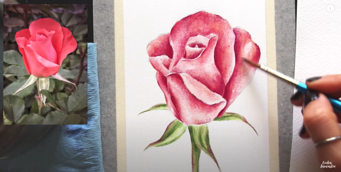 Watercolor Pencil Realistic Rose Tutorial 10
