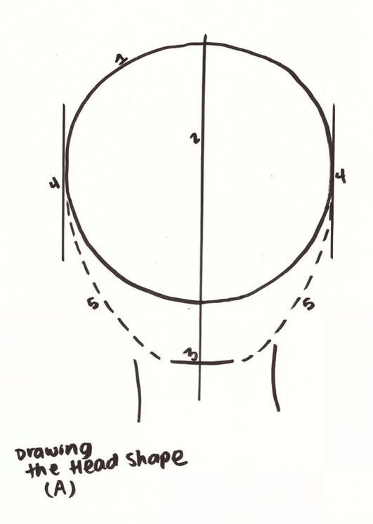 How to draw the head shape