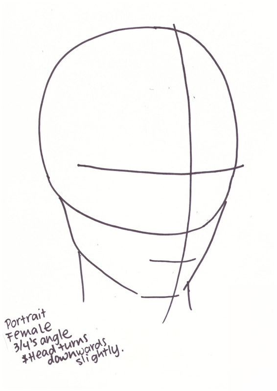 Female portrait at 3/4's head map. Free PDF at the end!