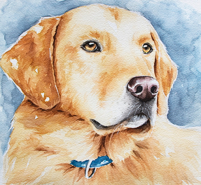 Watercolor Labrador by Erika Lancaster