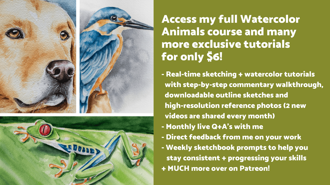 Learn drawing and watercolor online