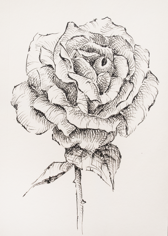 Pen and Ink Flower by Erika Lancaster