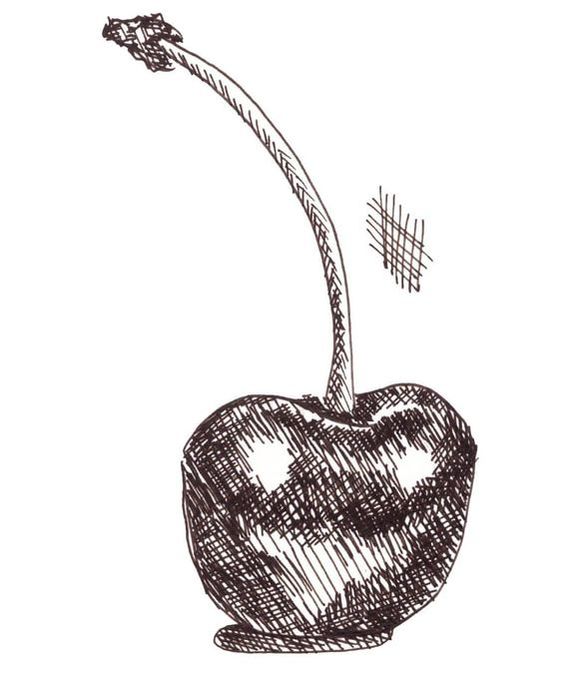 Cherry sketch showing crosshatching.