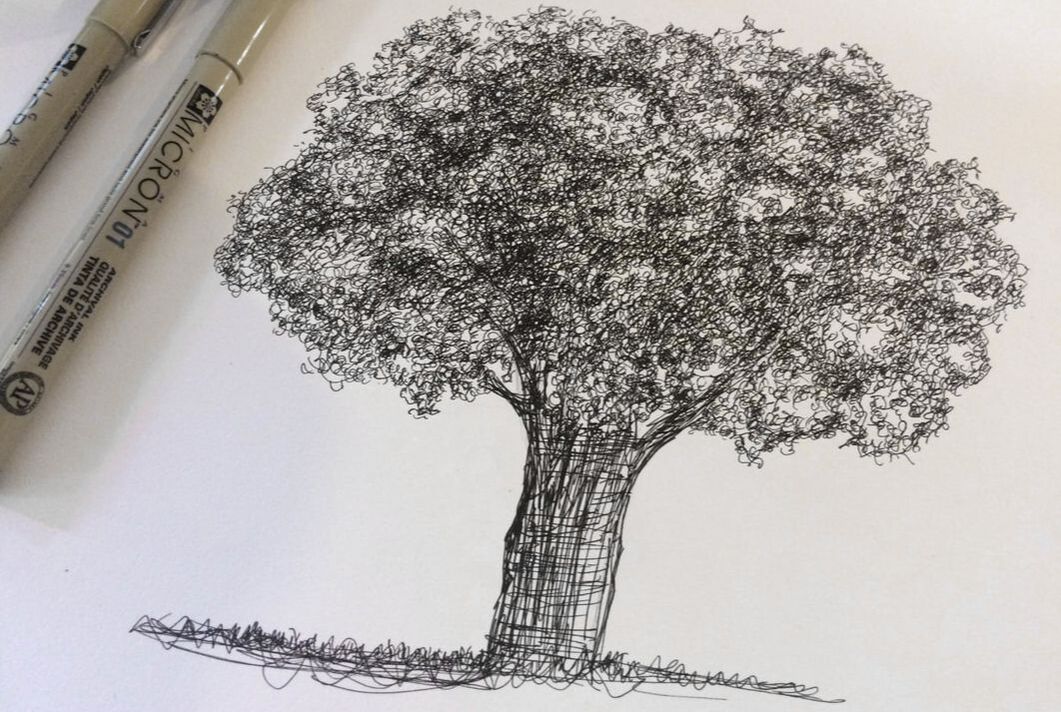 Pen and ink tree study by Erika Lancaster