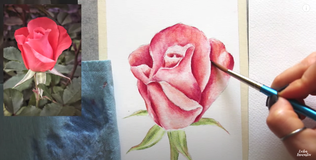Watercolor Pencil Realistic Rose Tutorial 6