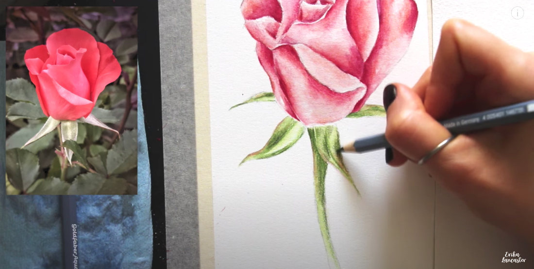 Watercolor Pencil Realistic Rose Tutorial 7