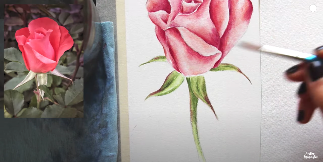 Watercolor Pencil Realistic Rose Tutorial 8