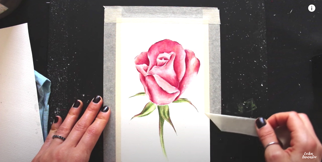Watercolor Pencil Realistic Rose Tutorial Final