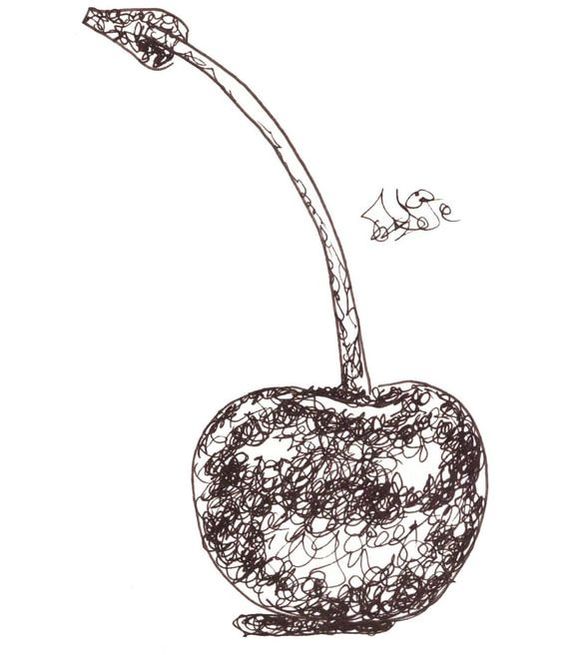 Cherry sketch showing scribbling.