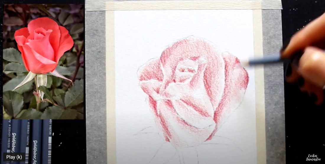 Watercolor Pencil Realistic Rose Tutorial 1