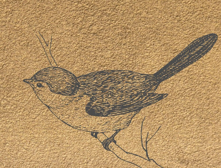 DRAWING ON TONED PAPER BEGINNER TIPS