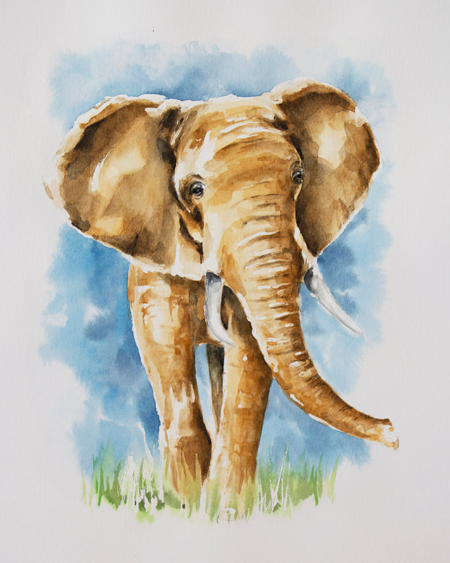 Young Elephant in Watercolor by Erika Lancaster