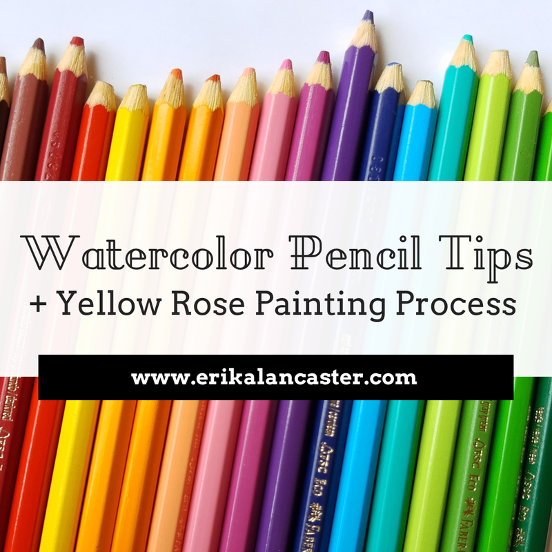 Watercolor Pencil Tips and Botanical Painting Process