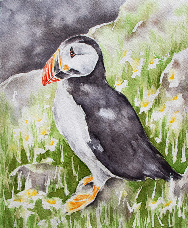 Watercolor Puffin Painting by Erika Lancaster