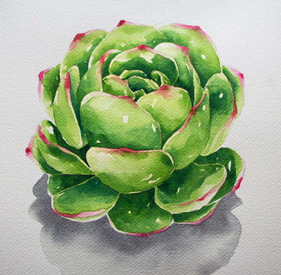 Watercolor Succulent by Erika Lancaster