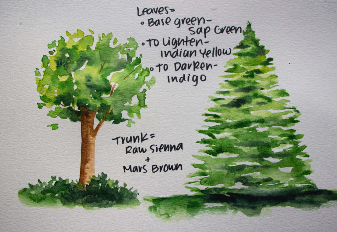 Tree studies painted using the 
